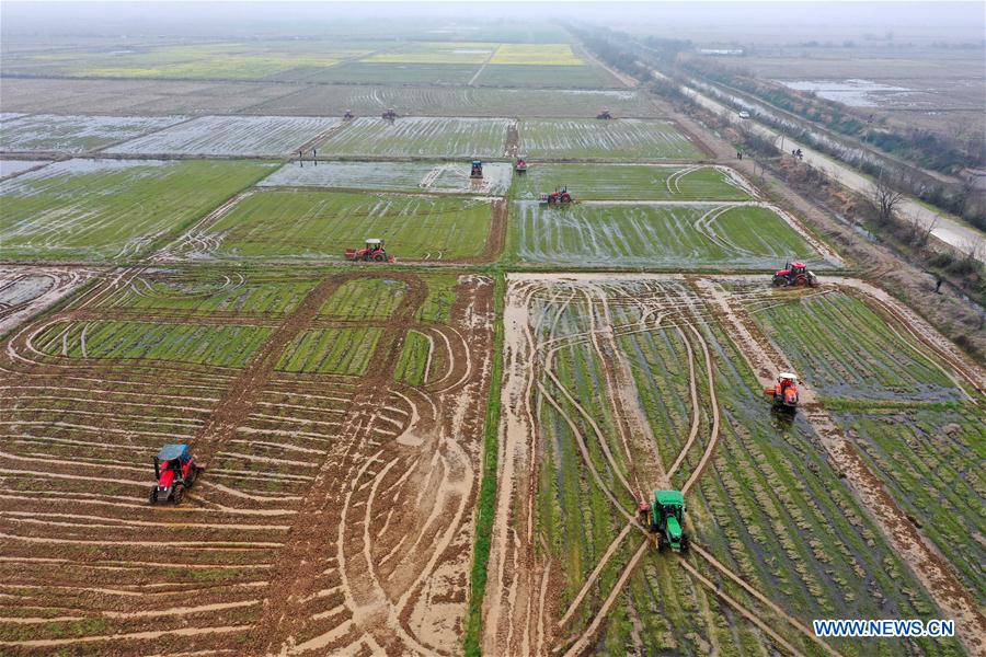 以爱之名 产品主图