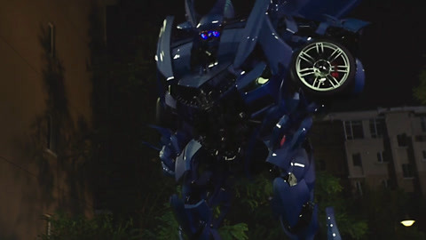 坟墓舞者 产品图片