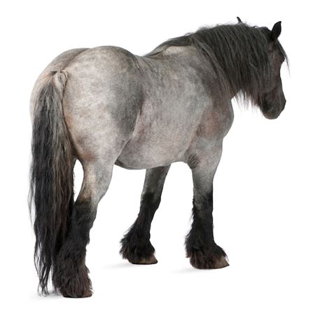 吃土的十二个月 产品图片