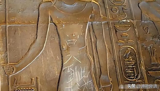 伯纳黛特你去了哪 相关产品