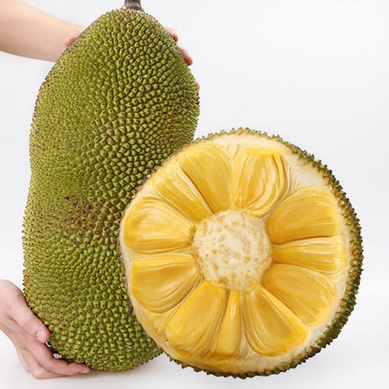 保持沉默 产品主图