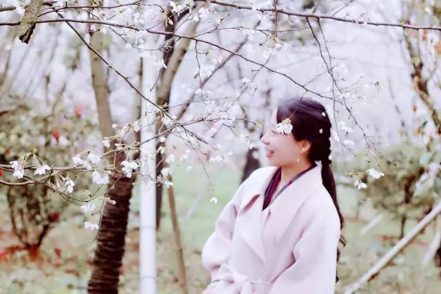 仙乐飘飘 相关产品