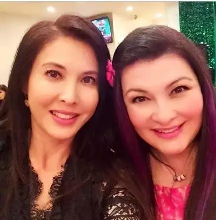 同谋（粤语版） 相关产品