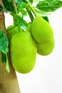 仙履奇缘3： 时间魔法 相关产品