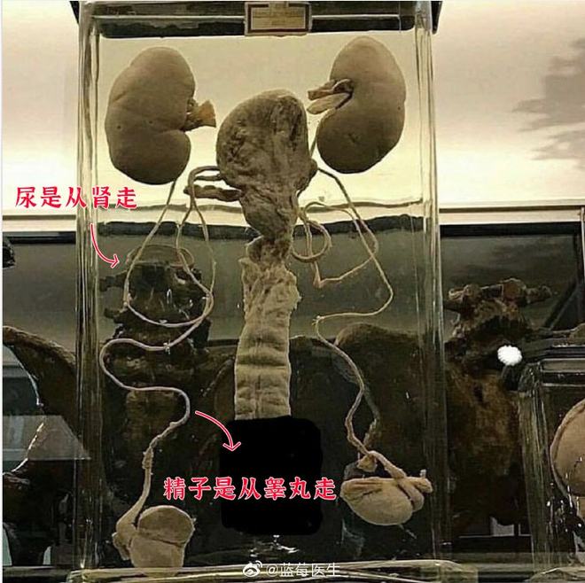 偷听女人心 相关产品