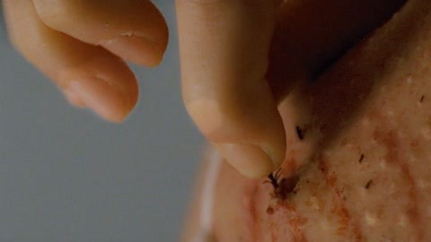 倒水湾(戏曲) 产品图片