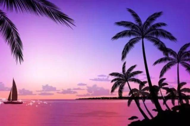 复仇天使 产品图片