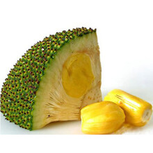 夜晚的灵魂 相关产品