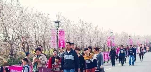 你是下一个 相关产品