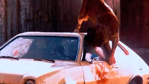 冒牌上帝 相关产品