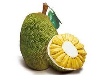 仙班校园 产品主图