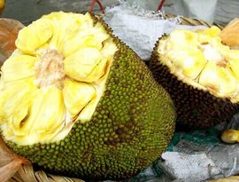 佛莱迪大战杰森 产品图片