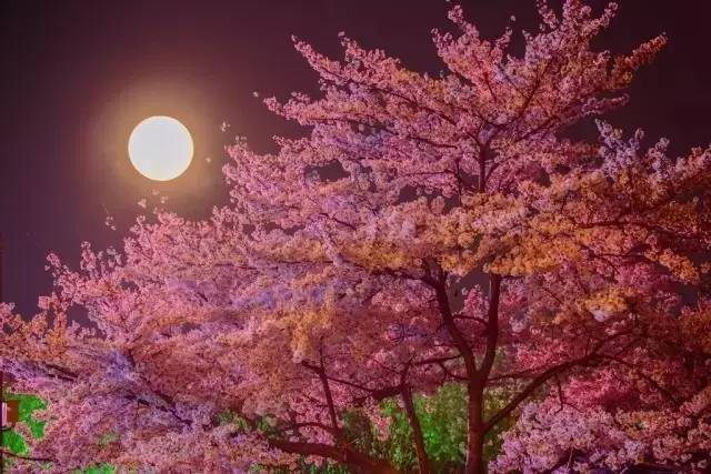 假面骑士 平成世代 终章 创骑与艾克赛德联手传奇骑士 相关产品