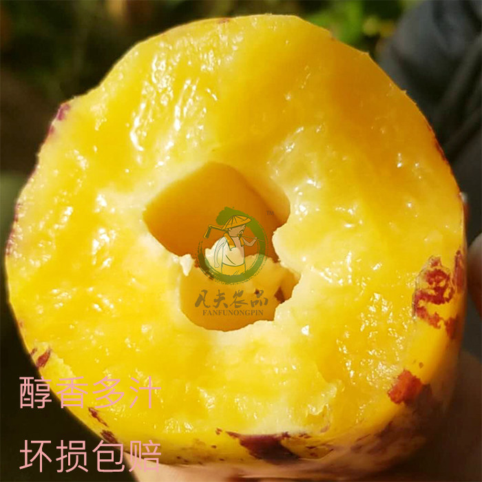 催眠人格 相关产品