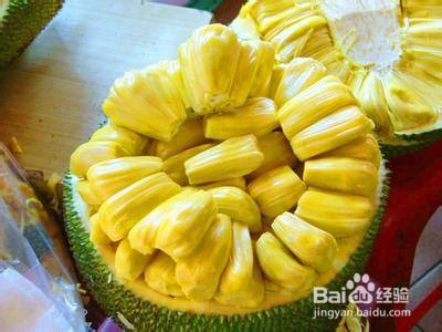 僵尸再翻生 相关产品