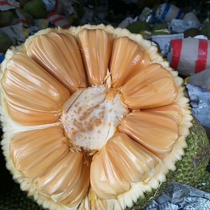 信念一生 相关产品