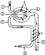 何方神圣 相关产品