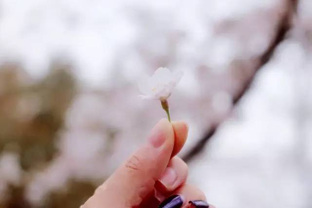 侏罗纪世界：重生 产品主图