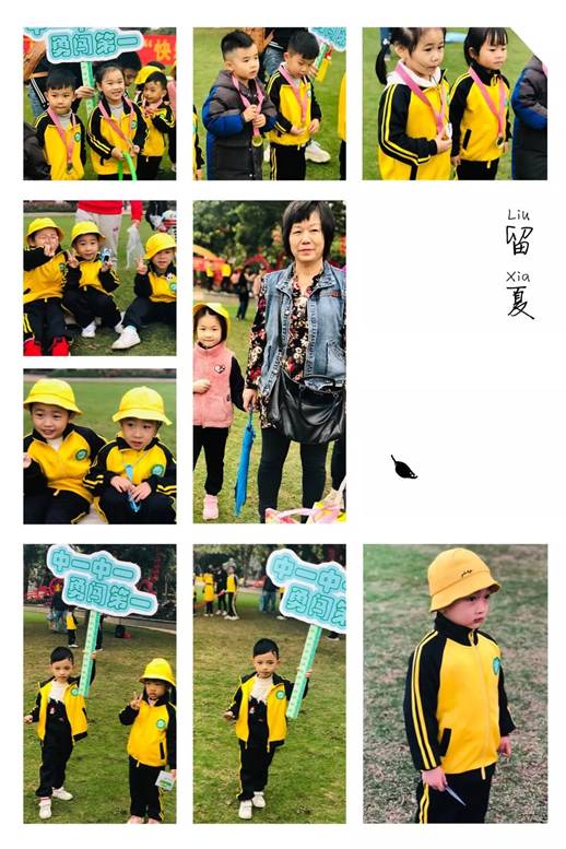 假如猫从世界上消失了 相关产品