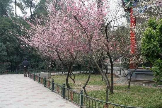 外星+人2 相关产品