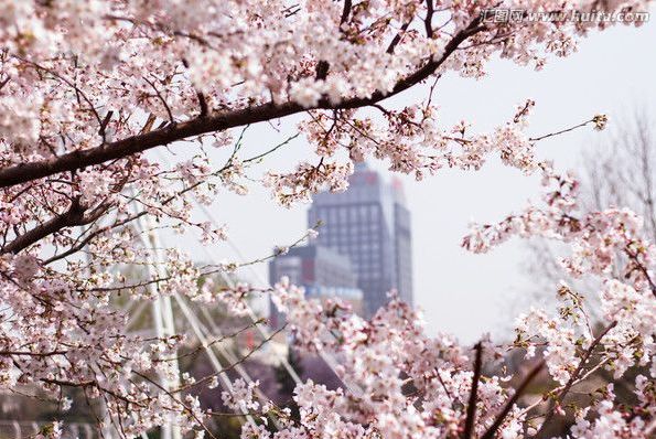 传输失败 推荐产品