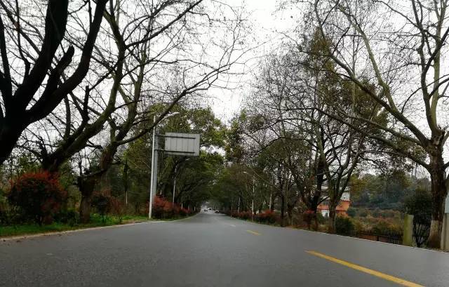 大内密探 产品图片