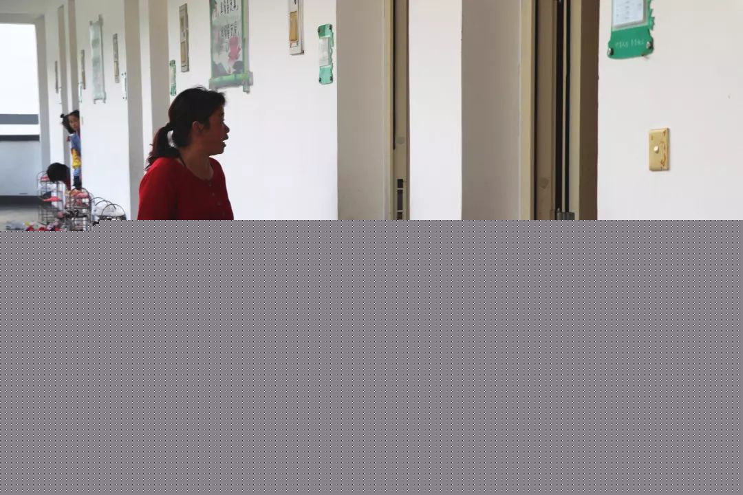 凋零在春天 相关产品