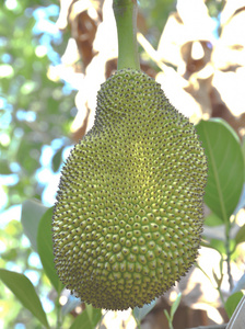 伊凡“雷”帝：回到未来 相关产品