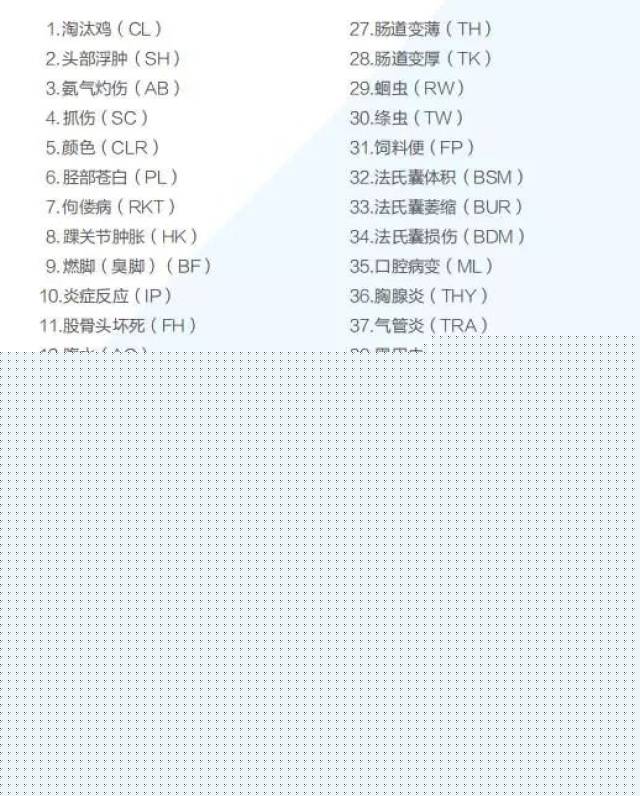 伟大杰作 产品图片