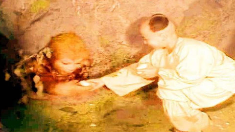 侏罗纪：重生 产品图片