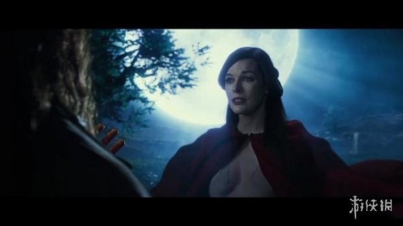 Margherita delle stelle