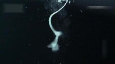 卡曼迪：地球最后的男孩 推荐产品