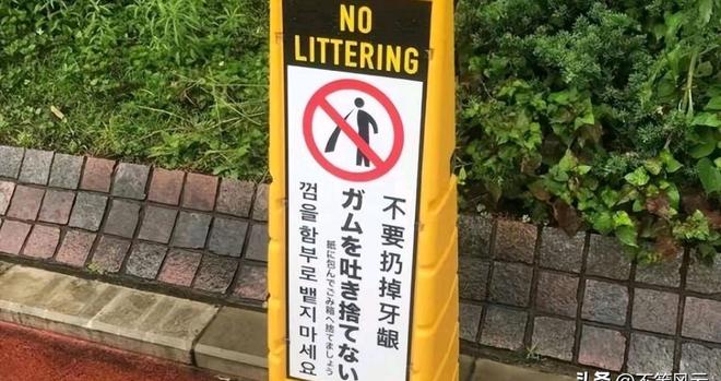 可爱的露易丝 推荐产品