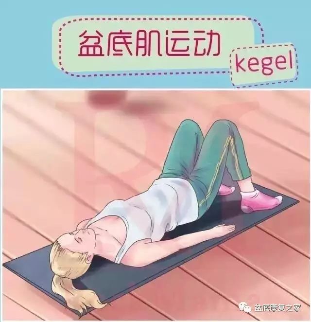 圣斗士星矢：圣域传说 相关产品