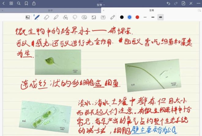 圣龙奇兵大冒险 相关产品