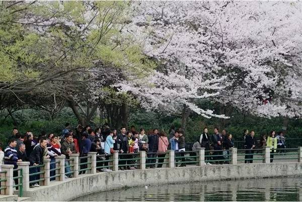 伊凡“雷”帝：回到未来 推荐产品