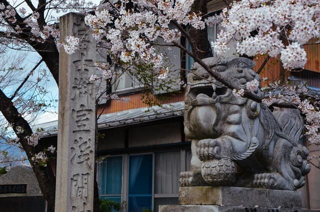 凯恩舰哗变的军事审判 相关产品