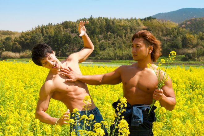 伊格尔和鹤的旅程 相关产品