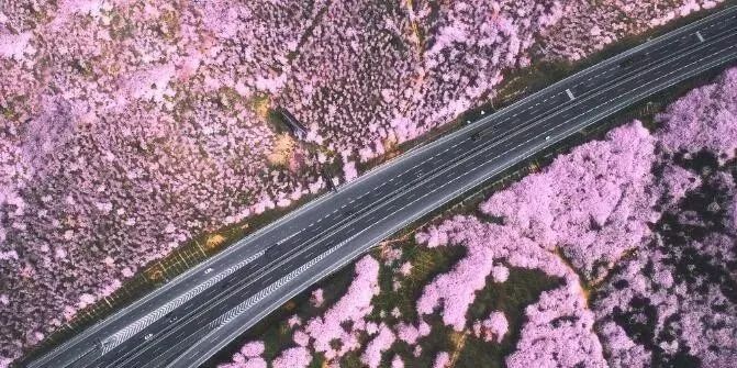 会计刺客（普通话版） 相关产品