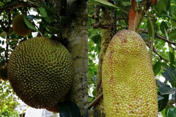 史酷比与蝙蝠侠：英勇无畏 产品图片