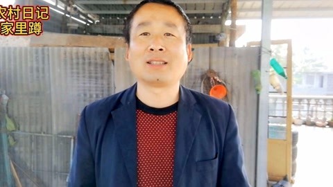 古墓迷途2 相关产品