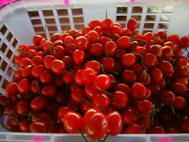 伊格尔和鹤的旅程 相关产品