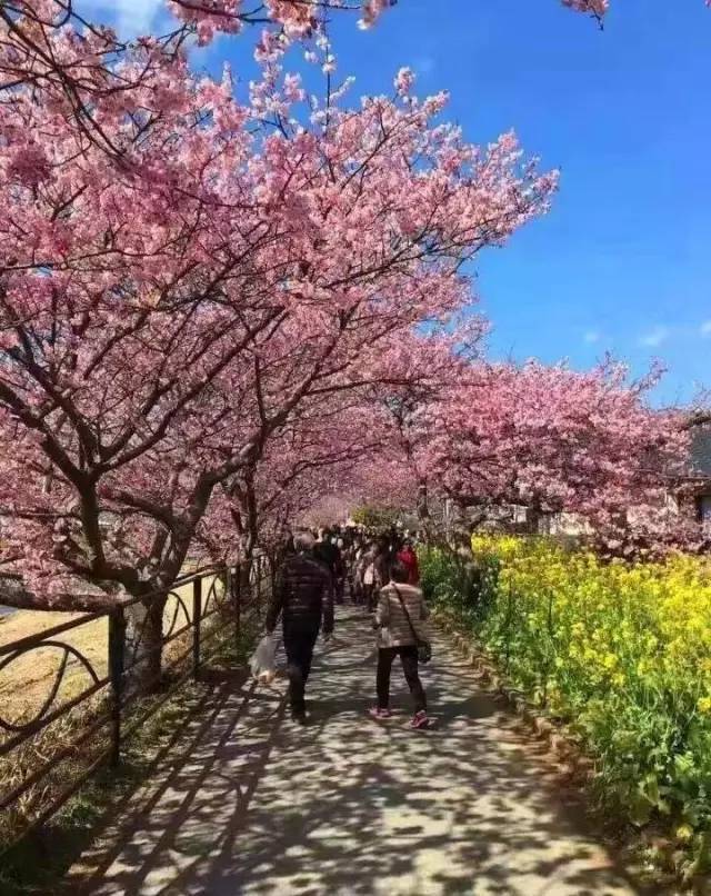 信号100 相关产品