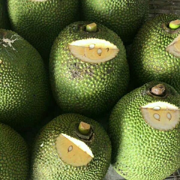 侠盗之歌 相关产品