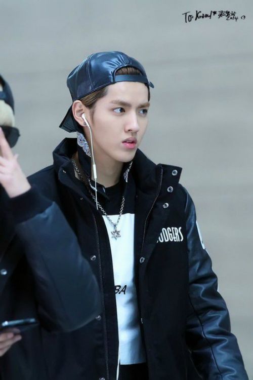 啄木鸟和雨 相关产品