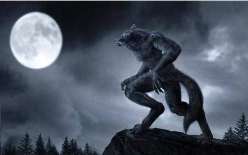 哈桑·明哈杰：返校之王 相关产品