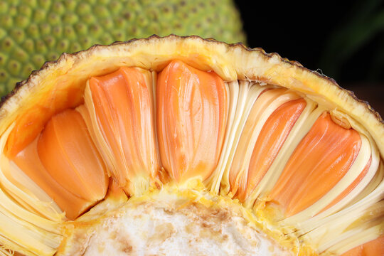 伦敦一家人 相关产品