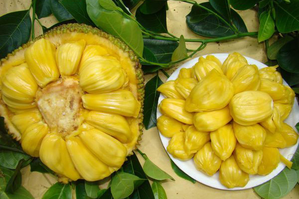 伯纳黛特你去了哪 相关产品