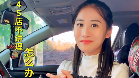 伦文叙老点柳先开