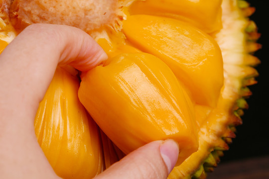 侏罗纪：重生 相关产品